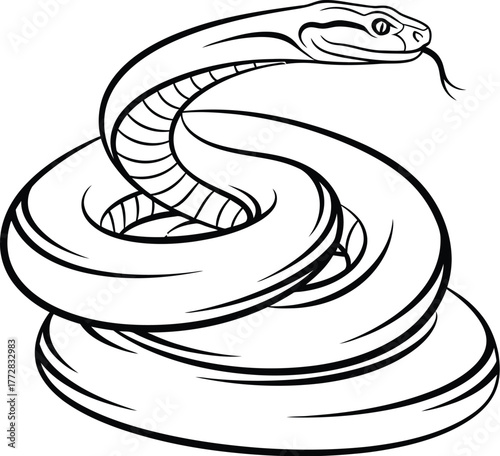 Snake cobra serpent reptile viper animal wildlife nature danger venomous predator