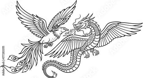 Dragon phoenix mythical creature fantasy art illustration drawing lineart