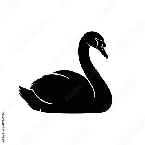 Black swan silhouette isolated on white background.