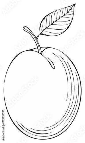 Hand drawn apple fruit with stem and leaf vector line art illustration