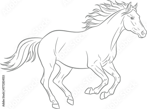 Horse running equine mammal animal stallion mare gallop wildlife freedom power