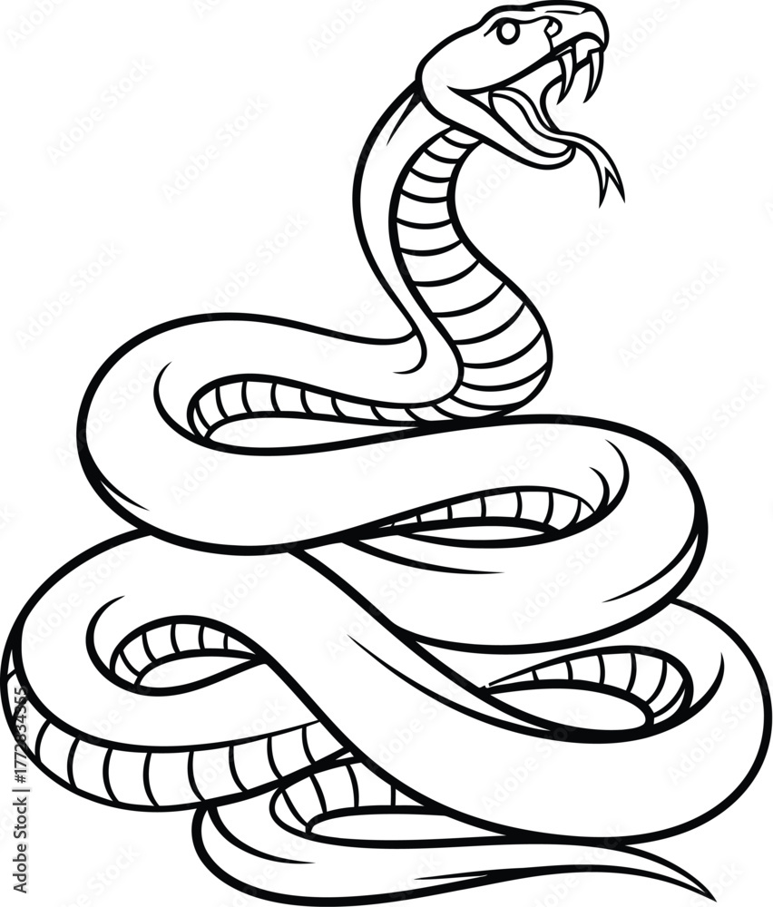 Fototapeta premium Snake cobra reptile serpent venom viper danger wildlife animal nature wild