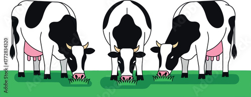 Illustration three black and white cows grazing on a green field, isolated on white background