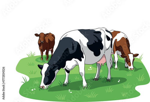 Illustration of cows grazing on a green field, isolated on white background
