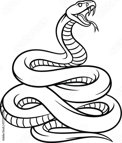 Snake cobra reptile serpent venom viper danger wildlife animal nature wild