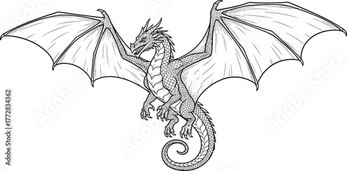Dragon mythical creature fantasy wings scales drawing illustration beast