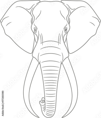 Elephant animal wildlife mammal africa safari nature zoo trunk tusks big