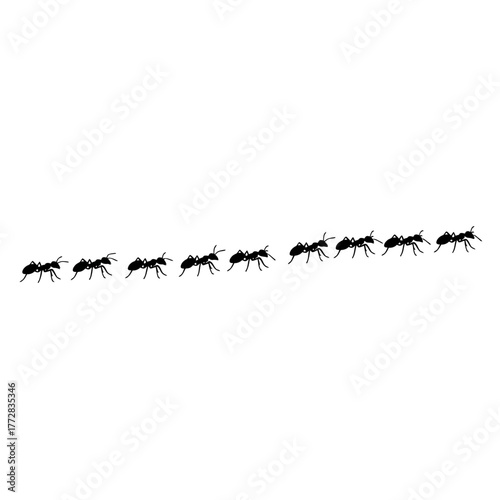 Ants marching in a straight line on white background.