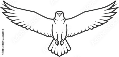 Eagle bird wings flying flight freedom soar animal wildlife nature sky logo art