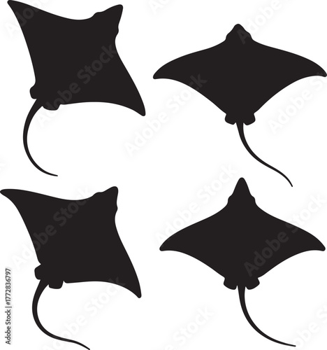 Set of silhouette stingray transparent