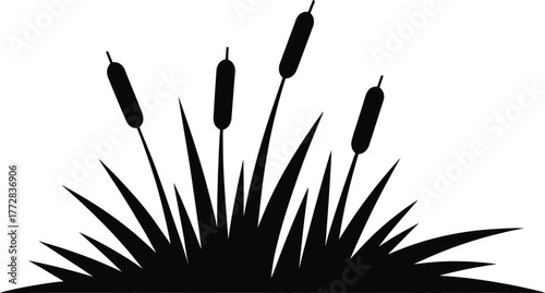 Silhouette of cattails and reeds growing in marshy wetland with a simple graphic style