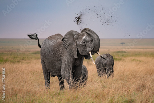 Mud Bath Ritual