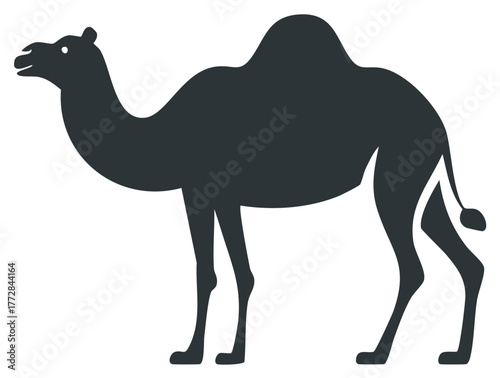 Dromedary Camel Silhouette Side View Dark Grey