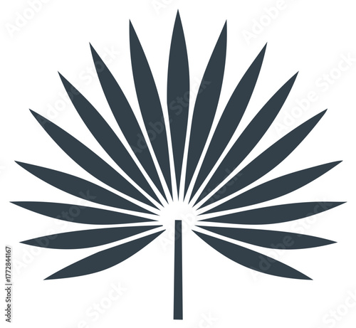 Stylized fan palm leaf icon in a minimalist flat design