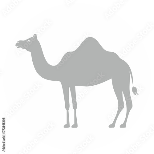 Gray Camel Graphic Silhouette Standing Tall Desert Animal Creature Symbol