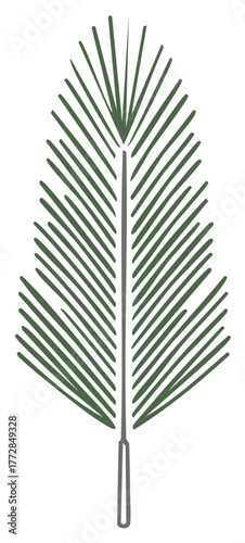 Stylized Palm Frond Illustration Tropical Leaf Green Linear Art Single Object