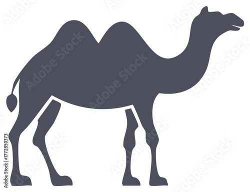Two humped Bactrian camel silhouette vector graphic illustration