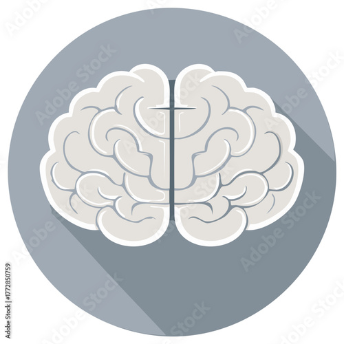 Stylized human brain illustration with detailed convolutions and a clear central division