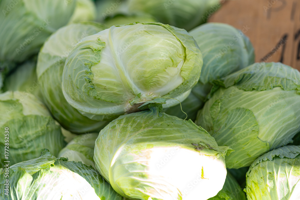 Fototapeta premium Fresh green cabbages stacked in sunlight at a farmers’ market; gentle highlights and selective focus convey fresh produce quality and an organic fruits lifestyle.