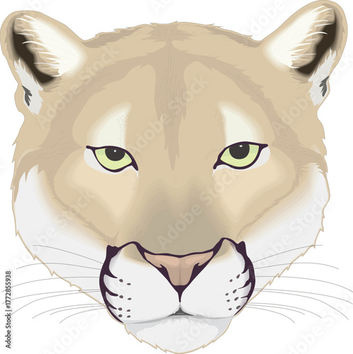 A detailed vector illustration of puma head, perfect for wildlife art, educational designs, mascot branding, or creative decoration in digital projects.
