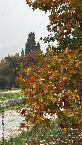 Autumn leaves gently sway near a flowing river, camera pans to capture scene