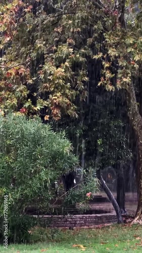 Rainfall cascades through autumn foliage, camera pans to reveal lush greenery