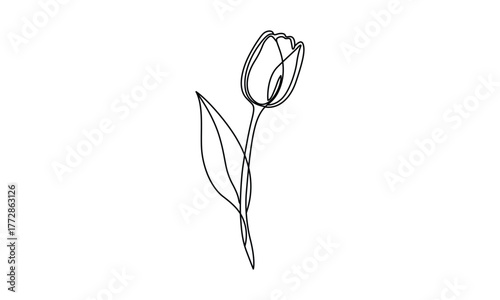 Elegant Minimalist Tulip Flower One Line Drawing on White Background