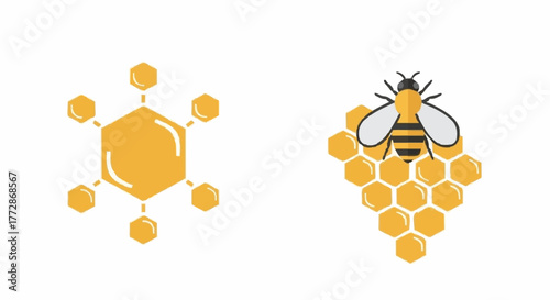A set of bee and honeycomb icons. Vector illustration representing honey production and a hexagonal network concept