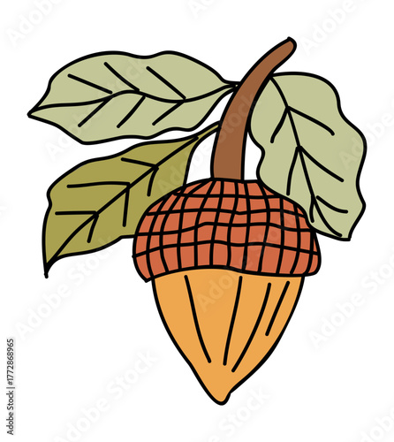 Minimalist acorn illustration with three sage green oak leaves, orange-brown cap and smooth nut, clean outlines,isolated on transparent background. Simple botanical vector in modern flat style