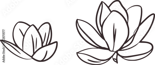 Two lotus flowers line art blossom bloom