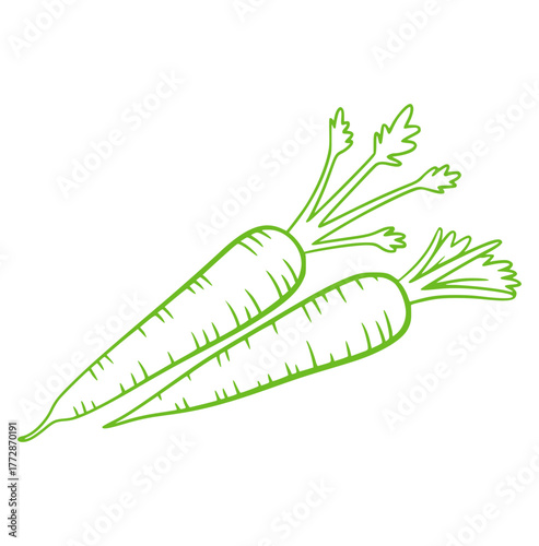 Two green carrots with leafy tops vegetable root