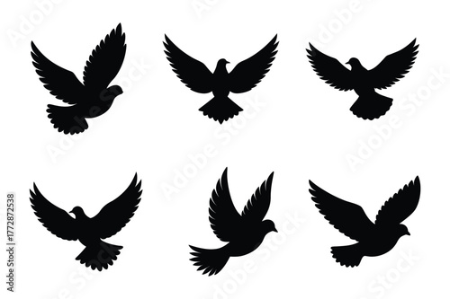 Dove silhouette vector illustration, Set of  Dove silhouette  illustration