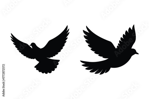 Dove silhouette vector illustration, Set of  Dove silhouette  illustration