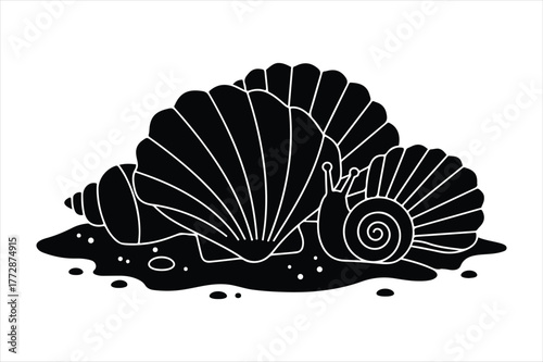 Seashells and snails on sand beach with water splashes nature ocean life