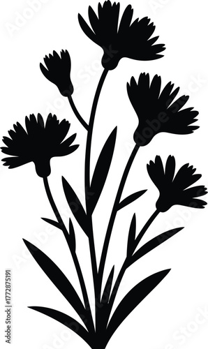 Elegant black silhouette of wildflower blossoms