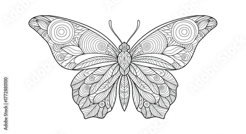 Intricate black and white butterfly illustration with detailed zen-tangle inspired wing patterns, perfect for coloring pages or decorative designs.