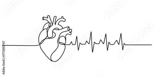 Continuous line drawing of a human heart connected to an electrocardiogram heartbeat vector