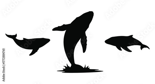 Three whales breaching and swimming in a dark silhouette style