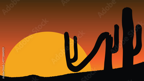 Sunset with desert and cactus. Sunset in the desert. Silhouette of cactus