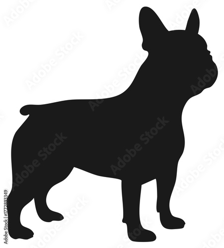 Black French Bulldog silhouette standing profile vector graphic design element for pets and animals