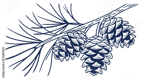 Pine Branch with Cones Line Art Vector, Iine art vector illustration of a pine branch adorned with three pine cones, perfect for natural, rustic, or traditional Christmas designs