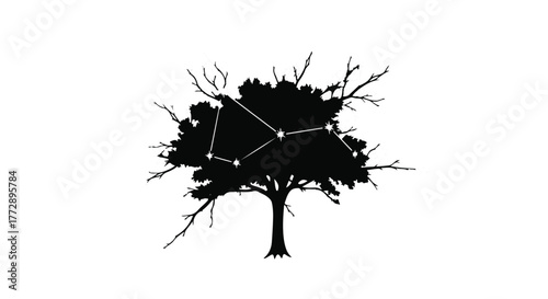 Silhouette of a tree with branches forming a constellation against a white background.