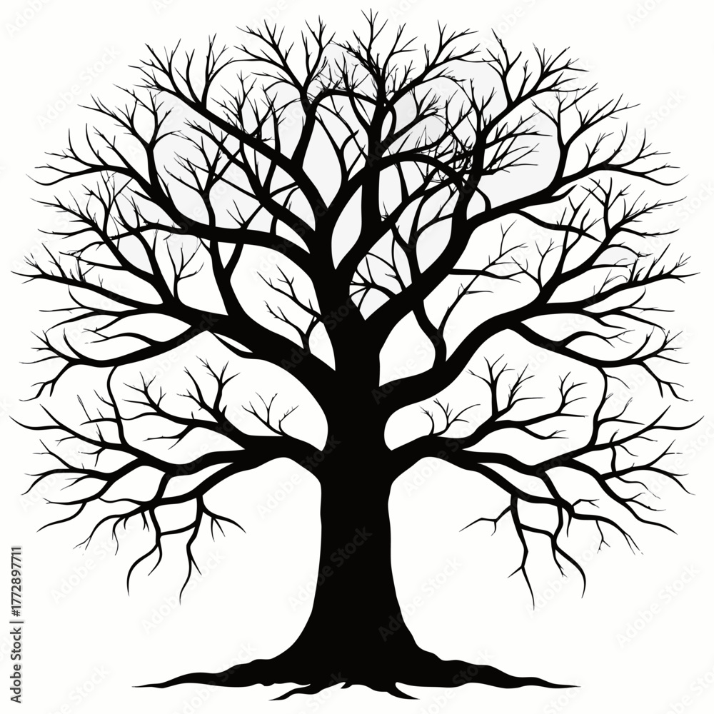 Obraz premium Silhouette of a large bare tree with intricate branches