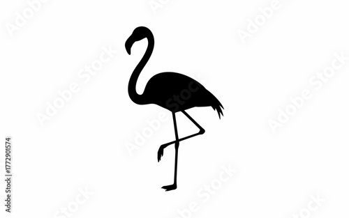 flamingo silhouette vector