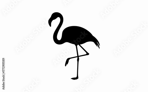 flamingo silhouette vector
