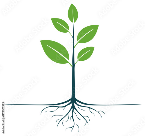 Green plant sprout with visible roots symbolizing growth nature organic development and new beginnings