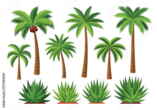 Collection of various palm trees and agave plants