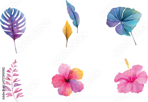 set of watercolor flowers