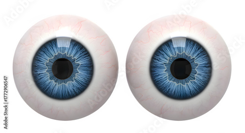 Realistic human eyeballs with bright blue irises 3D illustration isolated on white background