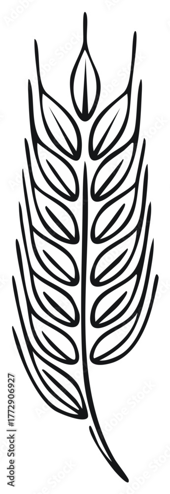 Obraz premium Stylized black and white illustration of a single wheat stalk with leaves